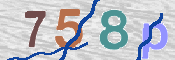 CAPTCHA изображение