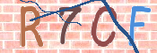 CAPTCHA изображение