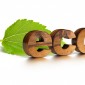wooden eco word and green leaf