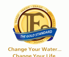 Gold Standard_ Enagic_logo