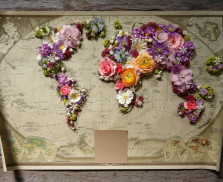 Map of world made from different kinds of flowers, on wooden background