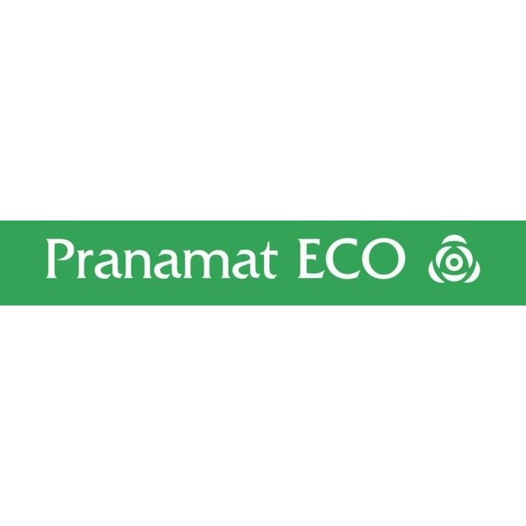 Pranamat ECO - массажный коврик и подушка - Organic Гид